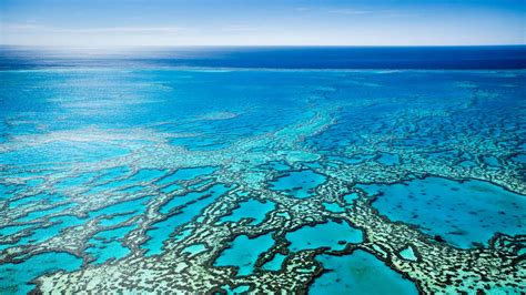 Climate Change and the Great Barrier Reef: A Looming Disaster